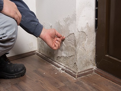 fazelab رفع نم و بوی بد فاضلاب